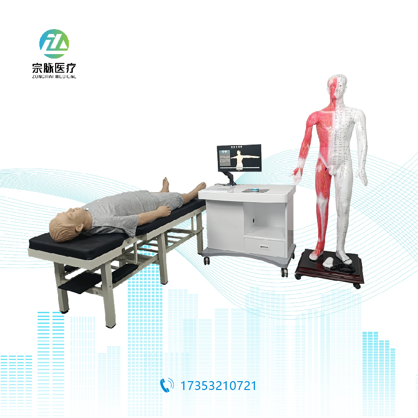 智能经穴学及针刺仿真系统,全身针灸训练人,高仿真针刺模型,中医针灸数字化教学,经络腧穴三维可视化,重庆宗脉医疗